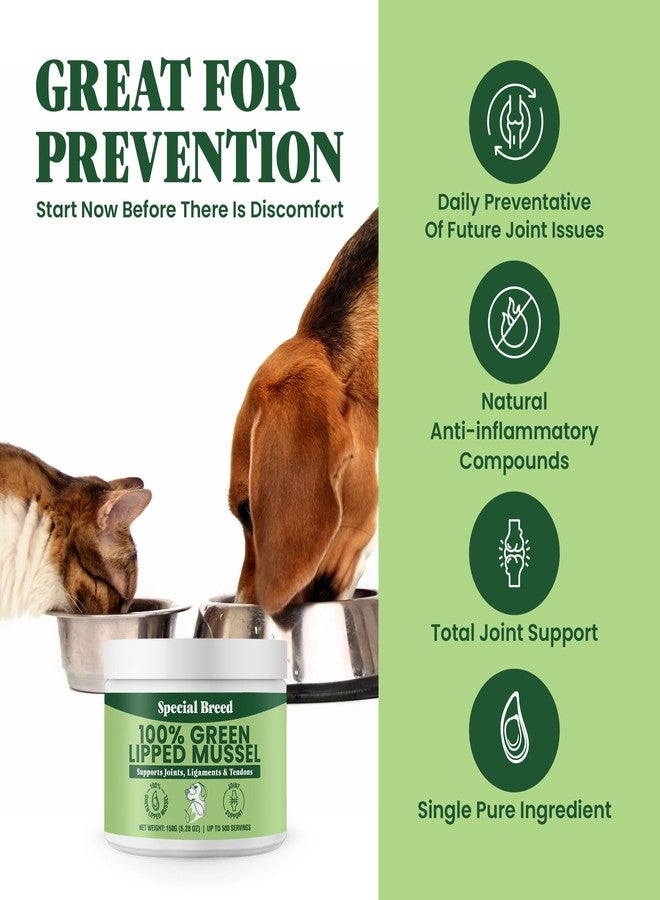 Special Breed Green Lipped Mussel Powder for Dogs & Cats - 100% New Zealand Green Lipped Mussels - Natural Hip & Joint Supplement for Joints, Tendons, Ligaments, Muscles - 150 Grams - Up to 500 Servings - Image 3